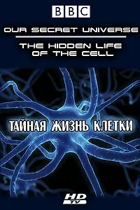 Постер к фильму «Внутренняя вселенная: Тайная жизнь клетки (2012)»
