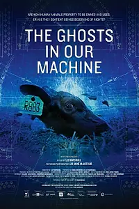 Постер к фильму «Призраки в нашей машине (2013)»