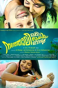 Главный постер фильма «Natholi Oru Cheriya Meenalla (2013)»