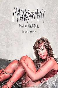 Главный постер фильма «Madness of Many (2013)»