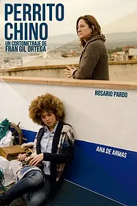 Постер к фильму «Perrito chino (2012)»