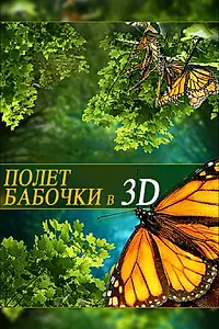 Постер к фильму «Полет бабочки 3D (2012)»