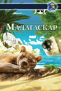 Постер к фильму «Мадагаскар 3D (2013)»