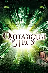 Постер к фильму «Однажды в лесу (2013)»
