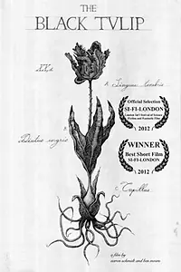 Главный постер фильма «The Black Tulip (2013)»