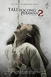 Постер к фильму «Саван девственницы 2 (2012)»