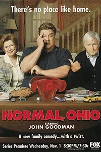 Главный постер сериала «Гетеросексуальный, Огайо (2000)»
