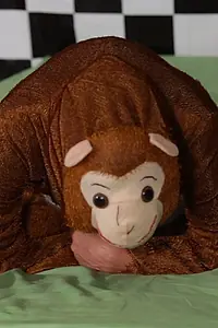 Постер к фильму «The Five Little Monkeys (2013)»