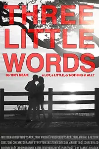 Постер к фильму «Three Little Words (2013)»