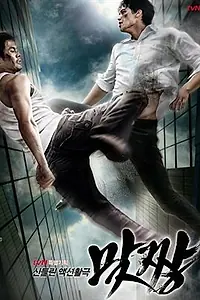 Постер к сериалу «Уличный боец (2008)»