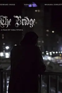 Постер к фильму «Мост (2013)»