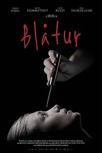 Постер к фильму «Blåtur (2013)»