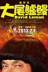 Постер к фильму «Давид Ломан (2013)»