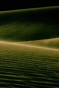 Постер к фильму «Alaya (1987)»