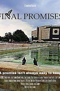 Постер к фильму «Final Promises (2013)»