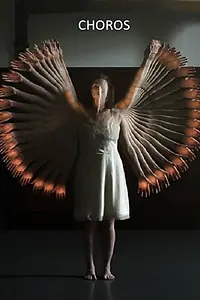 Постер к фильму «Choros (2012)»