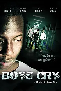 Постер к фильму «Boys Cry (2013)»