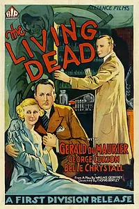 Главный постер фильма «The Scotland Yard Mystery (1934)»