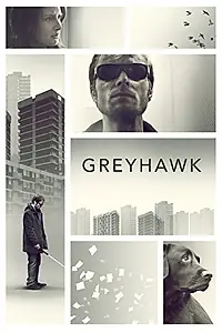 Постер к фильму «Greyhawk (2014)»