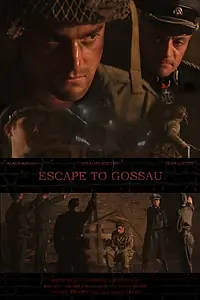 Главный постер фильма «Escape to Gossau (2013)»