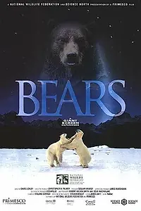 Постер к фильму «Медведи (2004)»