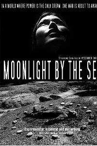 Постер к фильму «Moonlight by the Sea (2003)»