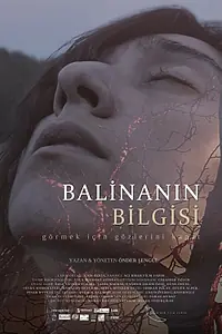 Постер к фильму «Мудрость кита (2024)»