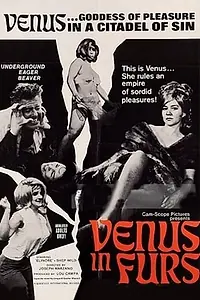 Постер к фильму «Венера в мехах (1967)»
