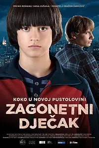 Главный постер фильма «Таинственный мальчик (2013)»