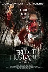 Главный постер фильма «Идеальный муж (2014)»
