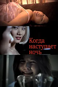 Постер к фильму «Когда наступает ночь (2009)»