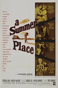 Главный постер фильма «Летнее место (1959)»