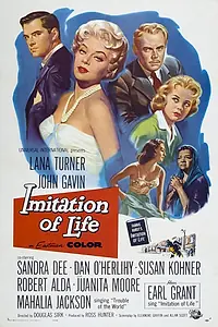 Главный постер фильма «Имитация жизни (1959)»