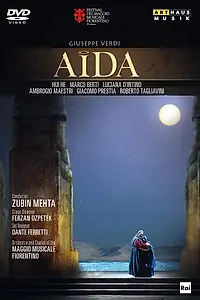 Постер к фильму «Aida (2011)»