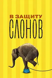 Главный постер фильма «В защиту слонов (2013)»