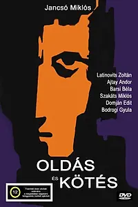 Главный постер фильма «Развязки и завязки (1962)»