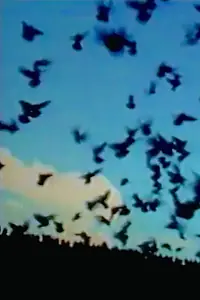Постер к фильму «Glue Man (1989)»