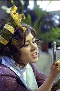 Постер к фильму «Пташки (1971)»