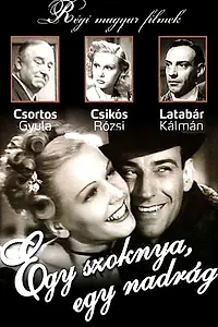 Постер к фильму «Одна юбка, одни брюки (1943)»