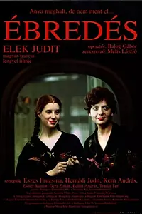 Постер к фильму «Пробуждение (1995)»