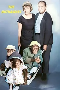 Постер к сериалу «The Hathaways (1961 - 1962)»