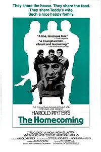 Постер к фильму «Возвращение домой (1973)»