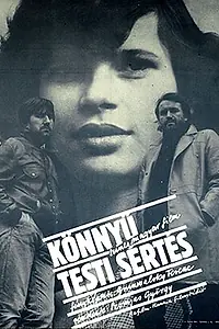 Постер к фильму «Легкое телесное повреждение (1983)»