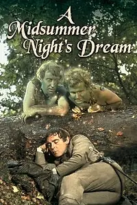 Главный постер фильма «Сон в летнюю ночь (1968)»