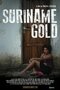 Постер к фильму «Золото Суринама (2014)»