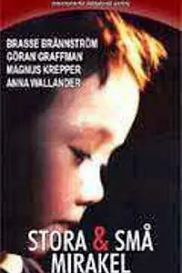 Постер к фильму «Большие и маленькие чудеса (1999)»