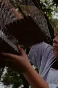 Главный постер фильма «O Velho do Saco (1999)»