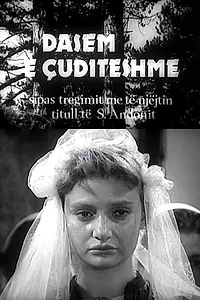 Постер к фильму «Dasem e çuditëshme (1986)»