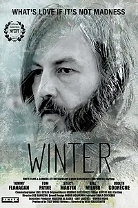 Постер к фильму «Зима (2015)»