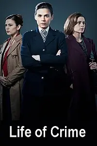 Постер к сериалу «Преступная жизнь (2013)»